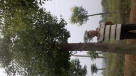 荆州市农林牧渔产业发展现状与前景