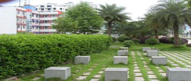 工厂绿化施工与养护服务 打造绿色生态工业环境