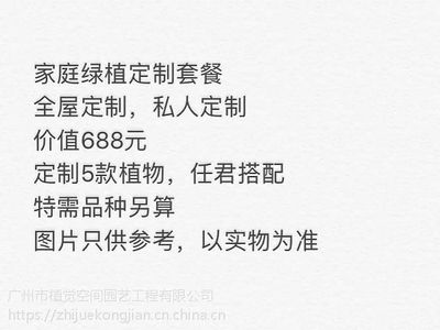 绿色相伴，生机常在——广州植物租赁与空间定制服务精选