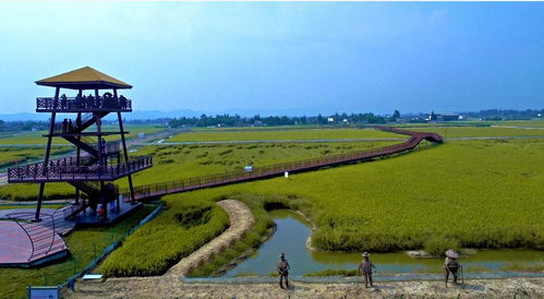 2018邛崃乐渔节暨渔香米丰收节 一场农渔文化的盛宴邀您共赴