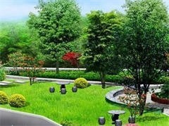 上海城市绿化养护服务 守护城市生态之美